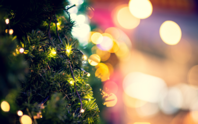 PALS social events | December 2024